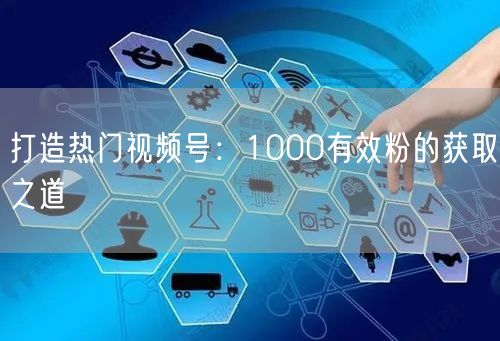 打造热门视频号：1000有效粉的获取之道