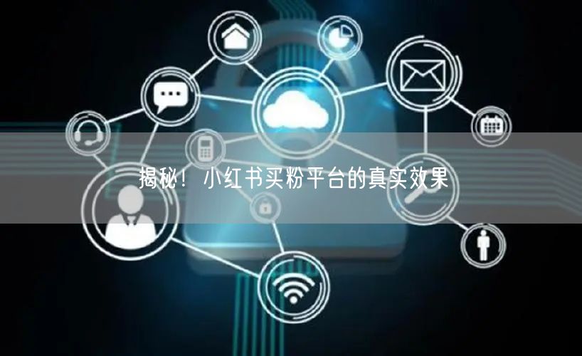 揭秘！小红书买粉平台的真实效果