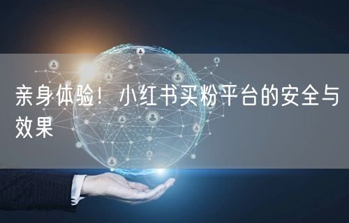 亲身体验！小红书买粉平台的安全与效果
