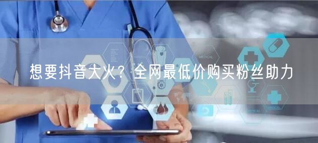 想要抖音大火？全网最低价购买粉丝助力