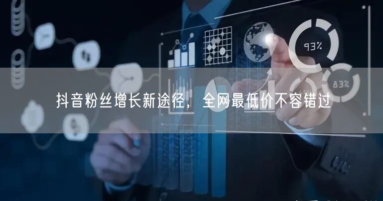 抖音粉丝增长新途径，全网最低价不容错过
