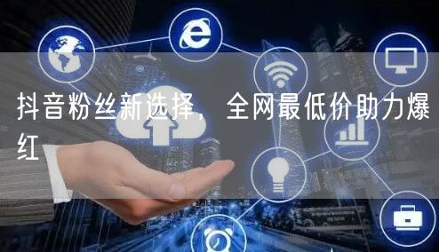 抖音粉丝新选择，全网最低价助力爆红