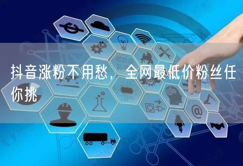 抖音涨粉不用愁，全网最低价粉丝任你挑