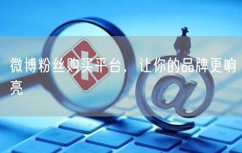 微博粉丝购买平台，让你的品牌更响亮