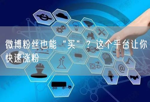 微博粉丝也能“买”？这个平台让你快速涨粉