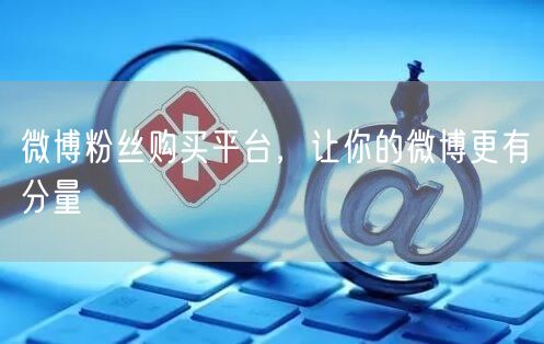 微博粉丝购买平台，让你的微博更有分量