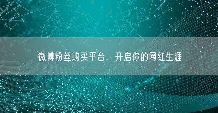 微博粉丝购买平台，开启你的网红生涯