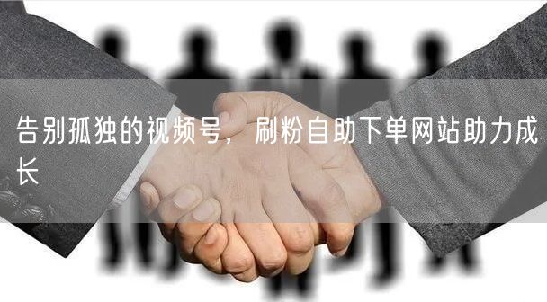 告别孤独的视频号，刷粉自助下单网站助力成长