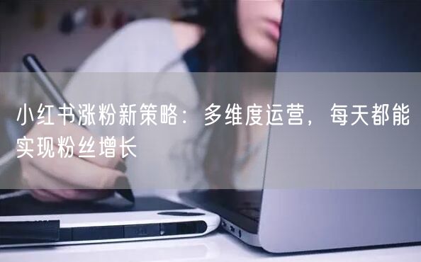 小红书涨粉新策略：多维度运营，每天都能实现粉丝增长