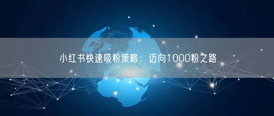 小红书快速吸粉策略：迈向1000粉之路