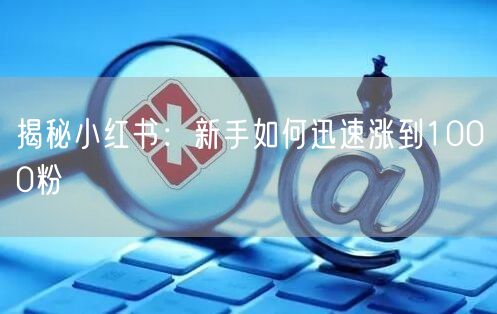 揭秘小红书：新手如何迅速涨到1000粉
