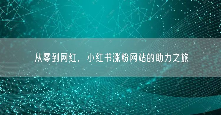 从零到网红，小红书涨粉网站的助力之旅