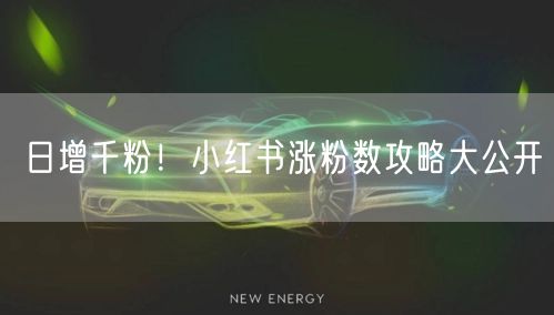 日增千粉！小红书涨粉数攻略大公开
