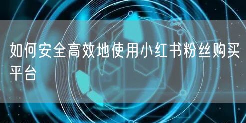 如何安全高效地使用小红书粉丝购买平台