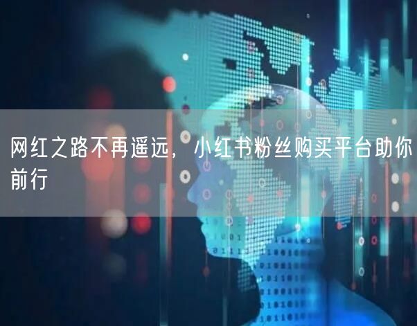 网红之路不再遥远，小红书粉丝购买平台助你前行