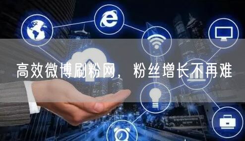 高效微博刷粉网，粉丝增长不再难